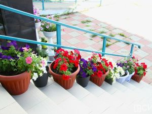 Жить, а не доживать: как постояльцы дома-интерната находят любовь и восстанавливают связь с родными