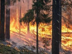 Глава Якутии попросил федеральное правительство выделить деньги на тушение пожаров