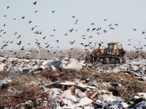 В Якутии новый мусорный полигон начнут строить в 2021 году