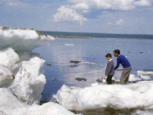 The Times: Владимир Путин строит мост в Якутию стоимостью миллиард фунтов стерлингов