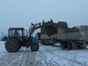 В Чурапчинском улусе идёт работа по контролю за качеством завозимого сена