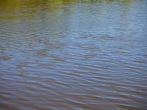 Якутянин избил знакомого до смерти и утопил труп в реке