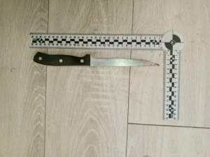 ШОК: Орудие убийства — кухонный нож