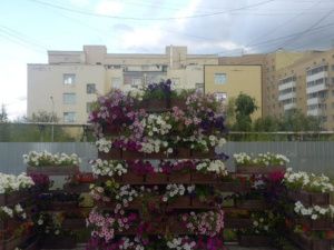 Часть цветочных клумб уберут с проспекта Ленина в Якутске после обращений горожан