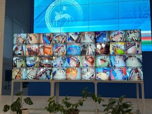 Якутяне смогут наблюдать за ходом выборов в режиме онлайн