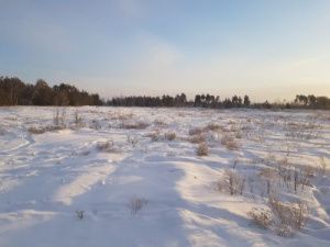 В Якутске начались предпроектные работы по строительству подъездной дороги до мусороперегрузочной станции