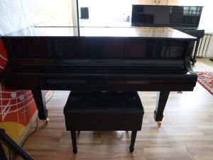 Глава Якутии посетил Детскую школу искусств в Жатае