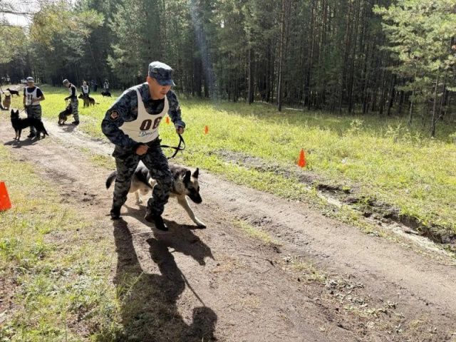 В Якутске прошли соревнования среди служебных собак