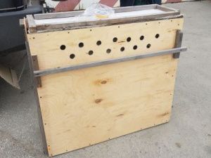 Японский журавль из якутского зоопарка отправлен в питомник Амурской области