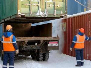 Первый контейнерный поезд зимнего сезона прибыл на станцию Нижний Бестях