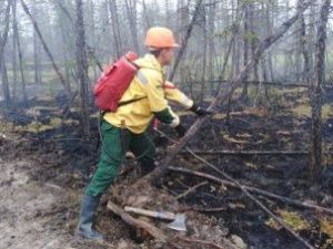 В Якутии тушат четыре лесных пожара