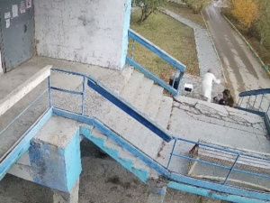Убийство в Белой Горе, мошенничество на 200 тысяч рублей и нападение собаки на ребенка: сводка за сутки в Якутии
