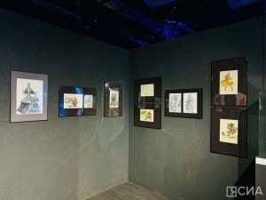 В Якутске презентовали выставку «Сказки зимы» модельера Августины Филипповой