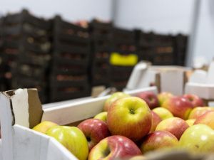 Новый логистический центр Якутоптторг увеличит снабжение арктических районов продовольствием