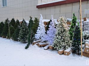 Обзор цен на искусственные ёлки в Якутске