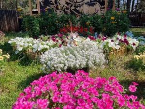 Началось голосование городского конкурса «Зелёный кубок Столицы»