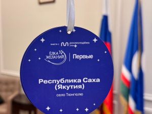 Сенатор РФ Сахамин Афанасьев принял участие в акции «Елка желаний»