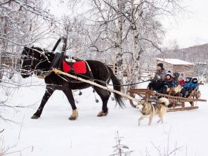 Новый год на «дальневосточных гектарах»: участники программы приглашают гостей 