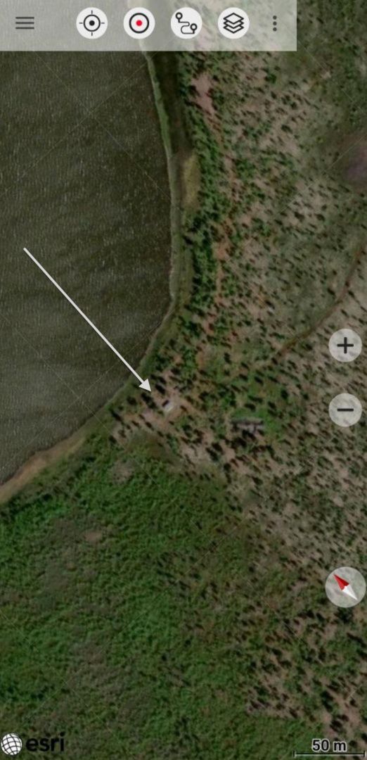 Наши чиновники только в лёт охотятся на особо охраняемых природных территориях