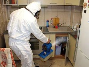 Уничтожение тараканов холодным туманом