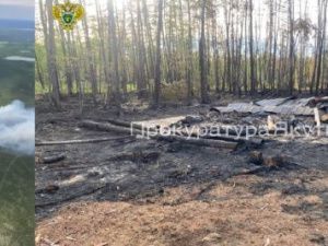 Жителя Якутии обвинили в возникновении лесного пожара