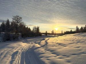 Небольшой снег, сильный ветер и метели: прогноз погоды на 20 января в Якутии