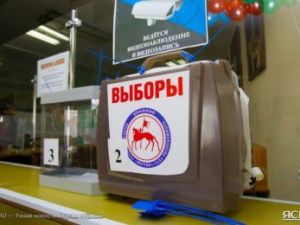 К 14 часам на дополнительных выборах в Арктике проголосовали более 3500 избирателей