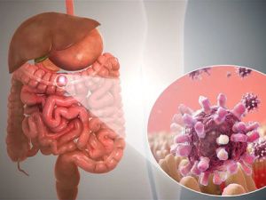 Что нужно знать о вирусных гастроэнтеритах