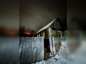 Собака обглодала руку одному из четырех погибших в Мирном