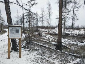 Китайская компания будет вести добычу суглинка в районе Кильдямцев до 2039 года