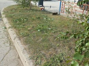 Прогноз погоды в Якутске и республике на 10 июля