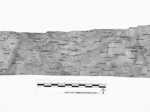 Айсен Николаев сообщил о сенсационной находке в Якутии