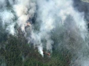 В Якутии тушат лесные пожары в опасной близости от трех сел Среднеколымского улуса