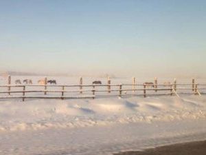 В Якутии начали проверять «дальневосточные гектары» на предмет освоения