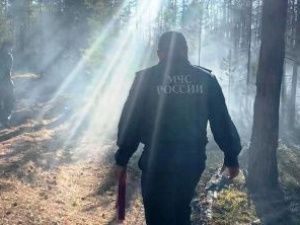 В Якутии огненная стихия уничтожила уже более 200 га тайги