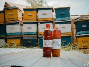 Медовый Спас — 2023: традиции, приметы, что можно и нельзя делать 14 августа