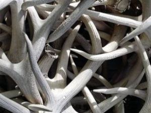 В Якутии внедрят Региональный экспортный стандарт 2.0