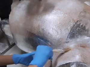 Команда якутского косплеера Айаала Федорова создала статую жеребенка Тооку