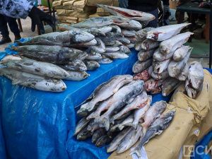 Море рыбы: Традиционная ярмарка развернулась на Комсомольской площади