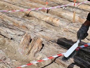 Археологические раскопки по улице Чернышевского в Якутске продлятся до конца сентября