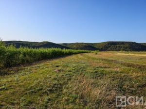 Распределение земельных участков для многодетных семей в Якутске начнется в ноябре