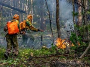 На территории Якутии действуют 96 лесных пожаров