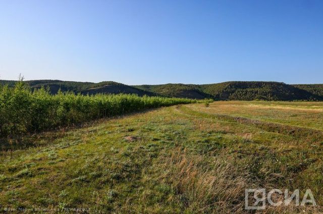 Распределение земельных участков для многодетных семей в Якутске начнется в ноябре