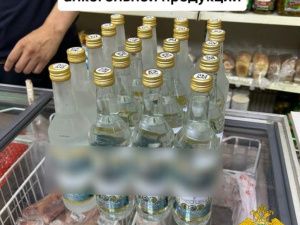 В Якутске участковые уполномоченные полиции выявили факты незаконной продажи алкогольной продукции