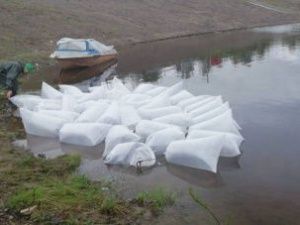 В реку Лену выпустили 3 миллиона личинок сиговых видов рыб