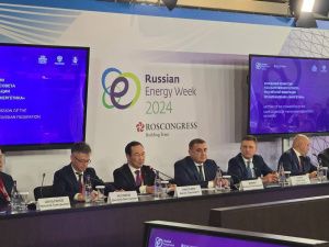 Айсен Николаев: Реформа электросетевого комплекса должна учитывать особенности регионов