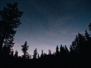 Гороскоп на 19 сентября 2023 года для всех знаков зодиака