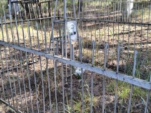 Контроль за работами, ровные ряды и благоустройство территории: что изменится на кладбищах Якутска