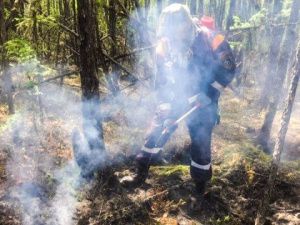Погода пока не благоприятствует тушению лесных пожаров в Якутии