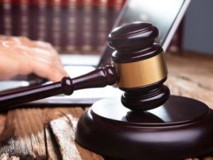 Дело ветеринара-мошенника направлено в суд